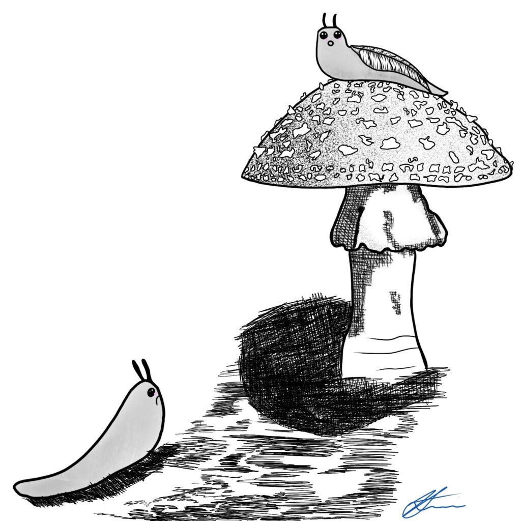 Susie’s Shell Searching Adventure /// Chapter 1