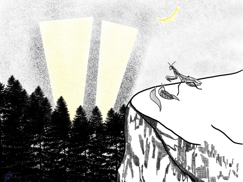 Susie’s Shell Searching Adventure /// Chapter 2