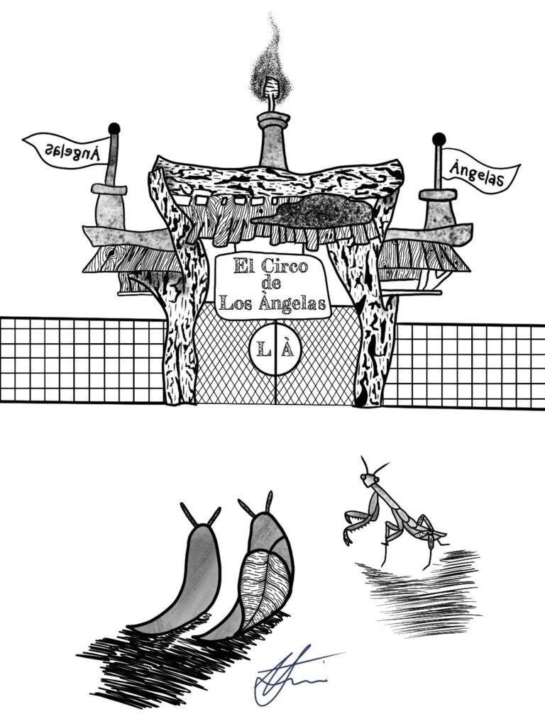 Susie’s Shell Searching Adventure /// Chapter 3