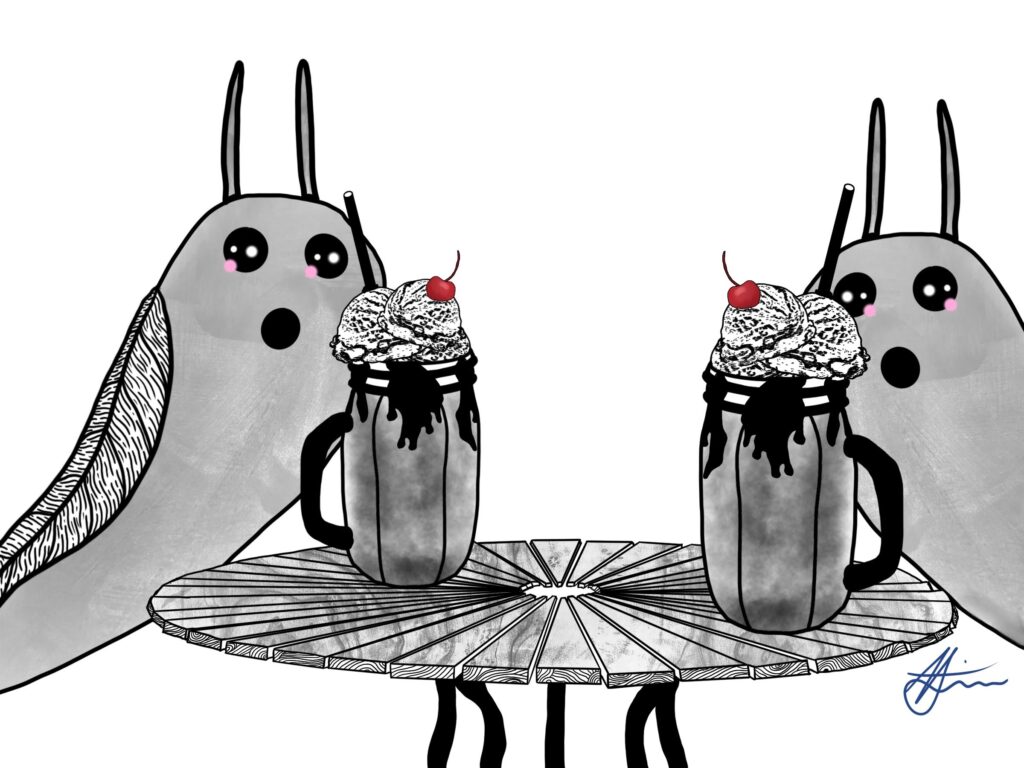 Susie’s Shell Searching Adventure /// Chapter 4